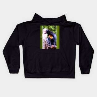 Sun Bear Kids Hoodie